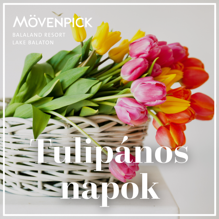 Tulip harvest days at BalaLand