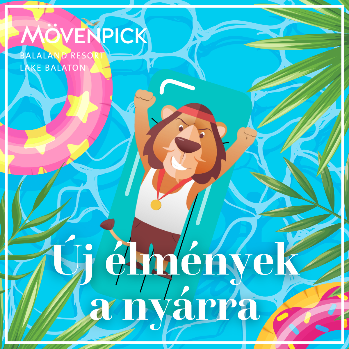 New summer adventures