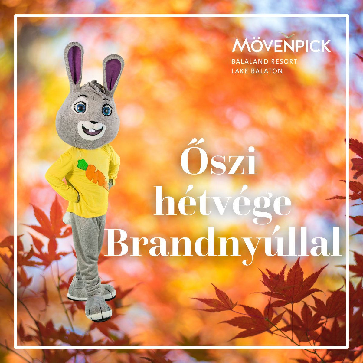 Őszi hétvége Brandnyúllal| 2026. november 13–15.
